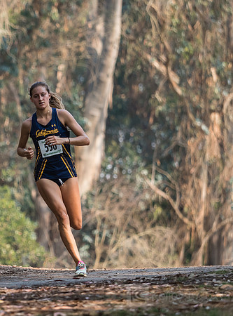 Ariane Arndt