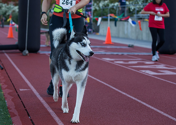 CSUEB 5K at East Bay