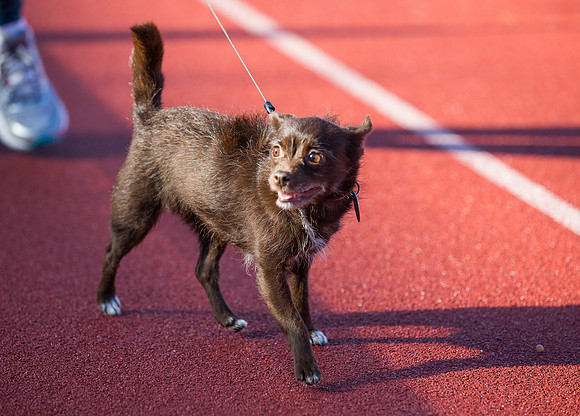 CSUEB 5K at East Bay