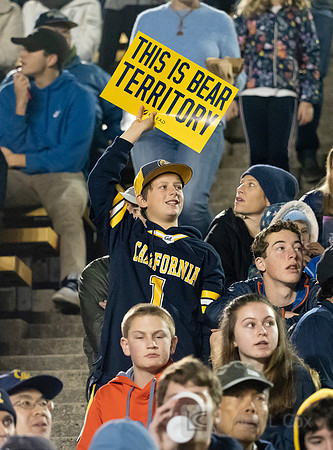 Fans