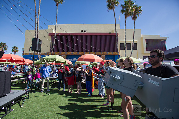 Santa Cruz Polar Plunge