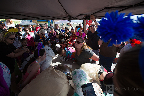 Santa Cruz Polar Plunge