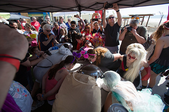 Santa Cruz Polar Plunge