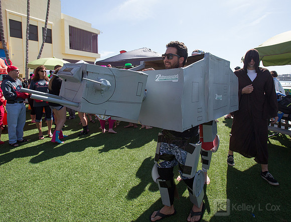 Santa Cruz Polar Plunge