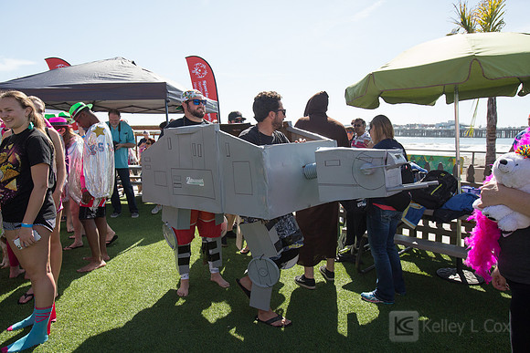 Santa Cruz Polar Plunge