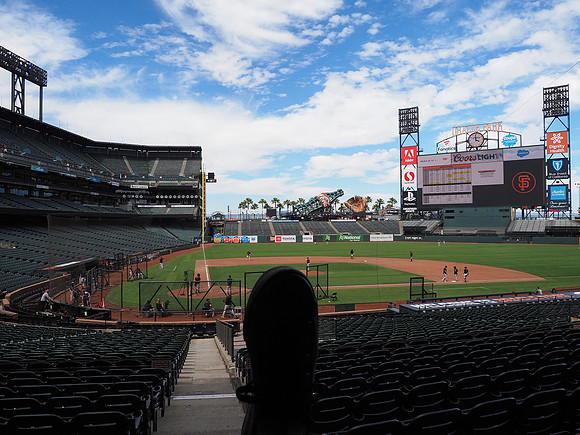 MLB: San Francisco Giants-Workouts