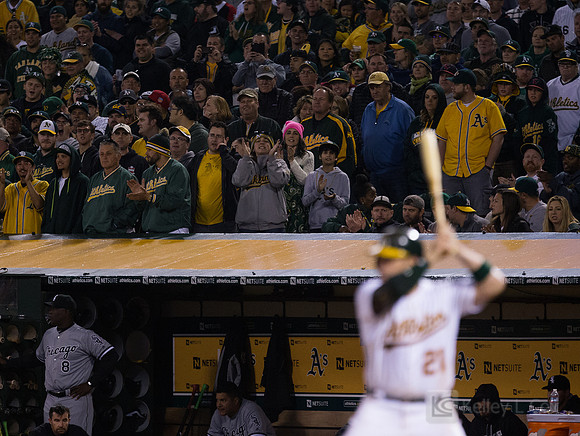 MLB: Chicago White Sox at Oakland Athletics