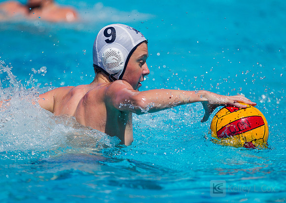 14B Tulatani Hills v Davis WP
