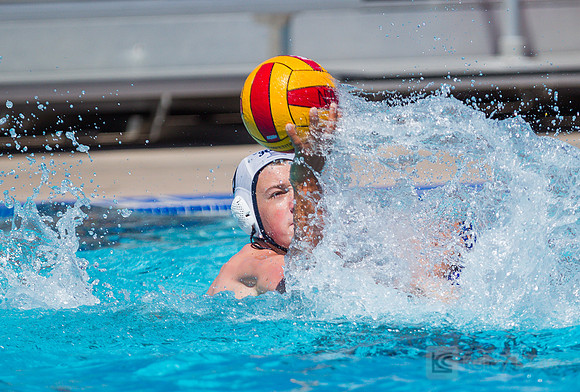14B Tulatani Hills v Davis WP