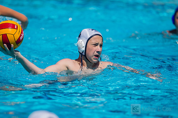14B Tulatani Hills v Davis WP
