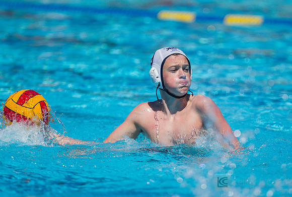 14B Tulatani Hills v Davis WP