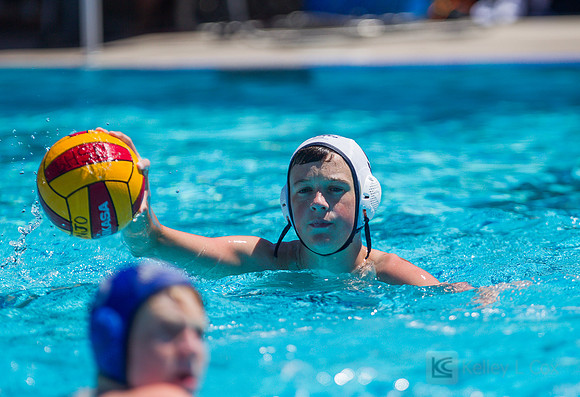 14B Tulatani Hills v Davis WP