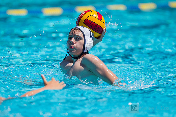14B Tulatani Hills v Davis WP