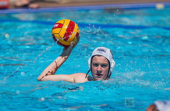 14B Tulatani Hills v Davis WP