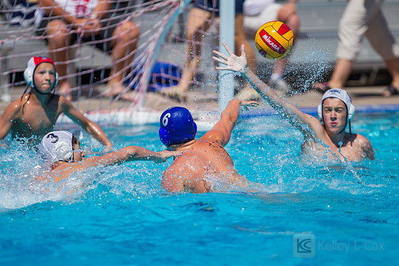 14B Tulatani Hills v Davis WP