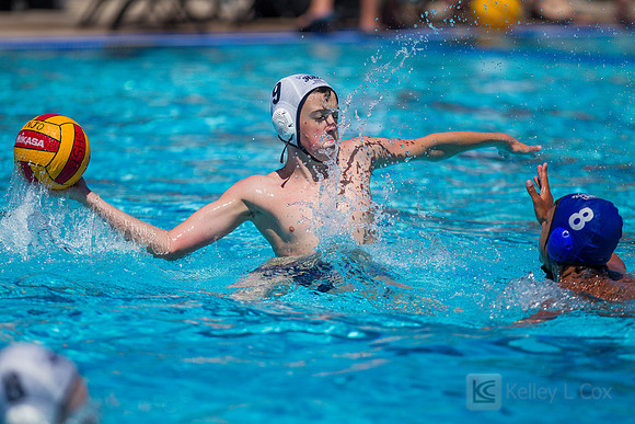 14B Tulatani Hills v Davis WP