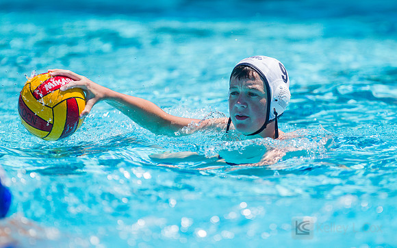 14B Tulatani Hills v Davis WP