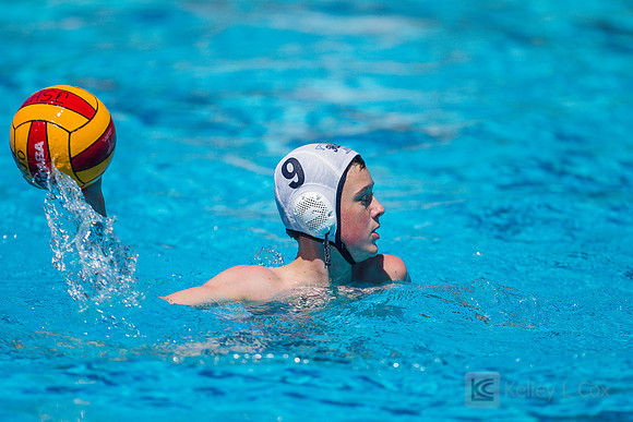 14B Tulatani Hills v Davis WP