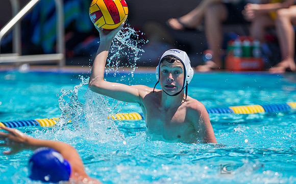 14B Tulatani Hills v Davis WP