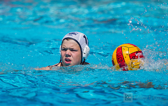 14B Tulatani Hills v Davis WP