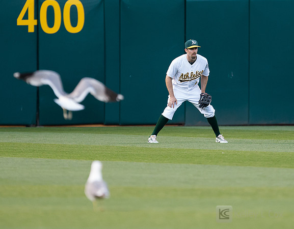 MLB: Minnesota Twins at Oakland Athletics