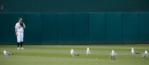 MLB: Minnesota Twins at Oakland Athletics