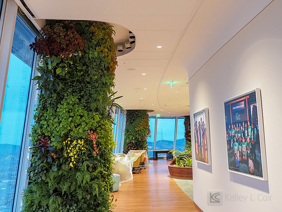 Anning-Johnson Company: Salesforce Tower