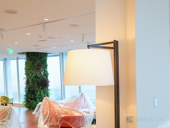 Anning-Johnson Company: Salesforce Tower