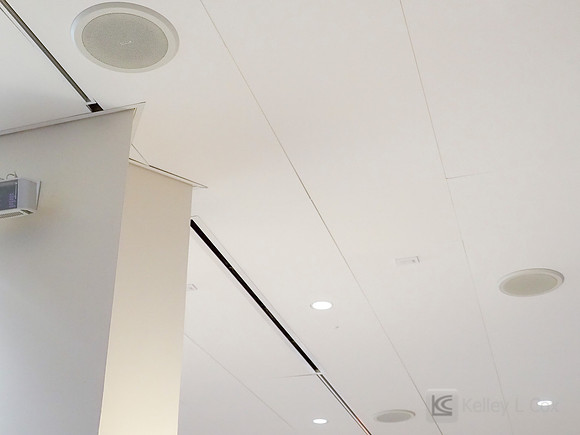 Anning-Johnson Company: Salesforce Tower