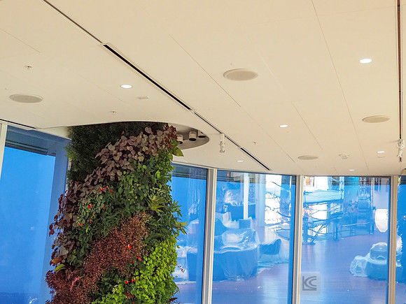 Anning-Johnson Company: Salesforce Tower