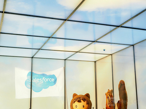 Anning-Johnson Company: Salesforce Tower