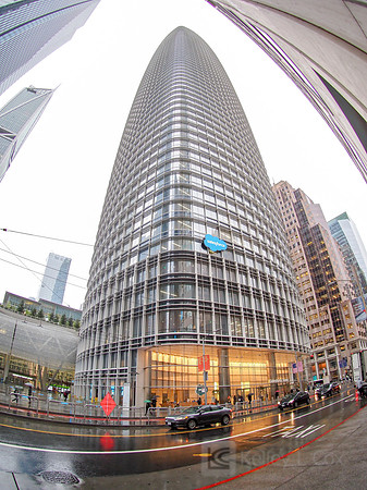 Anning-Johnson Company: Salesforce Tower