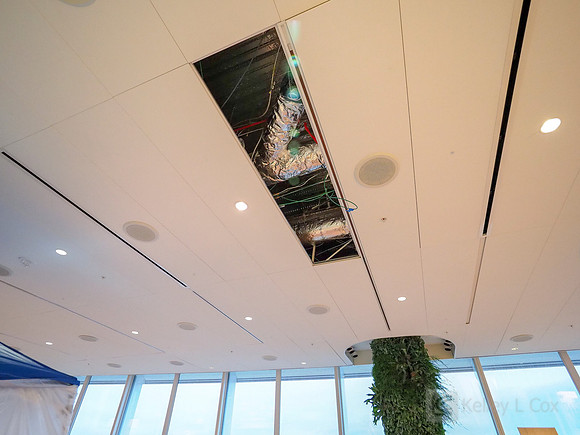Anning-Johnson Company: Salesforce Tower