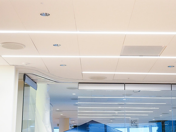 Anning-Johnson Company: Salesforce Tower