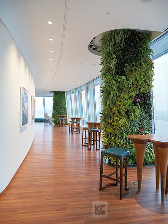 Anning-Johnson Company: Salesforce Tower