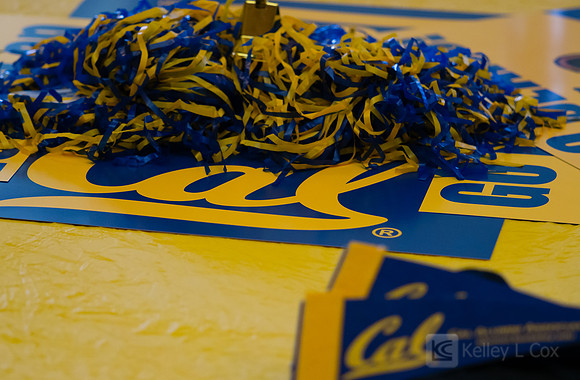 CAA Family Hoops Party