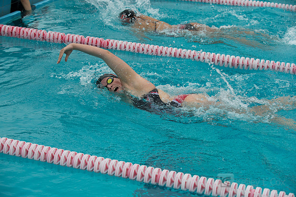 CSUEB Swim v FPU