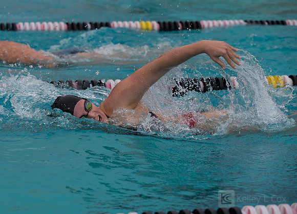CSUEB Swim v FPU