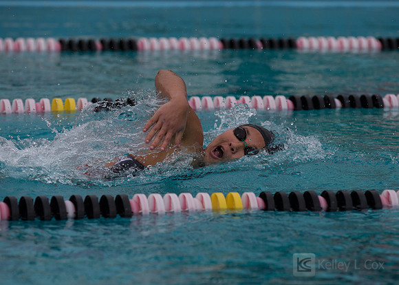 CSUEB Swim v FPU