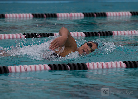 CSUEB Swim v FPU