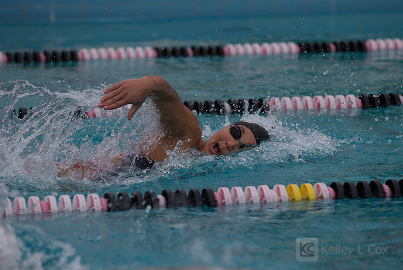 CSUEB Swim v FPU
