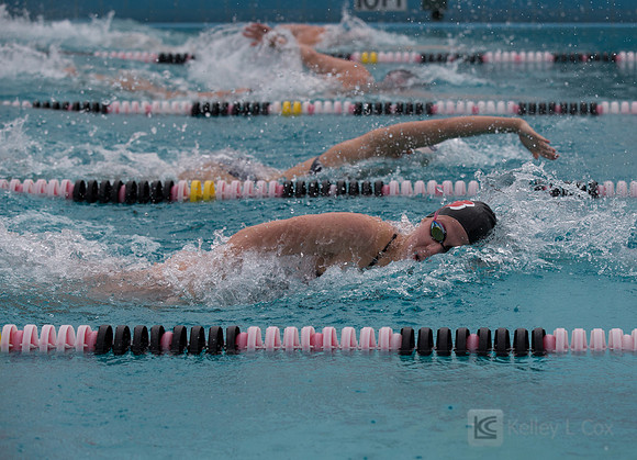 CSUEB Swim v FPU