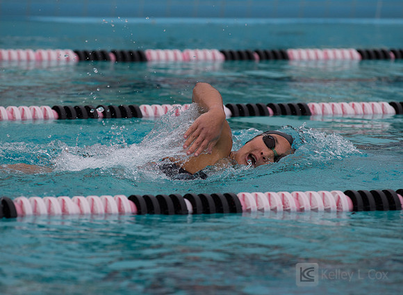CSUEB Swim v FPU