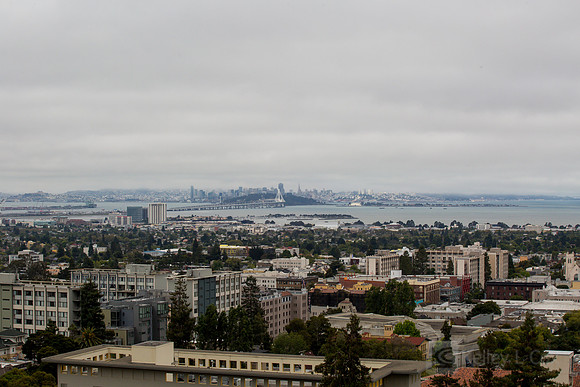 SciPhilOrg: Research Partners' Conference