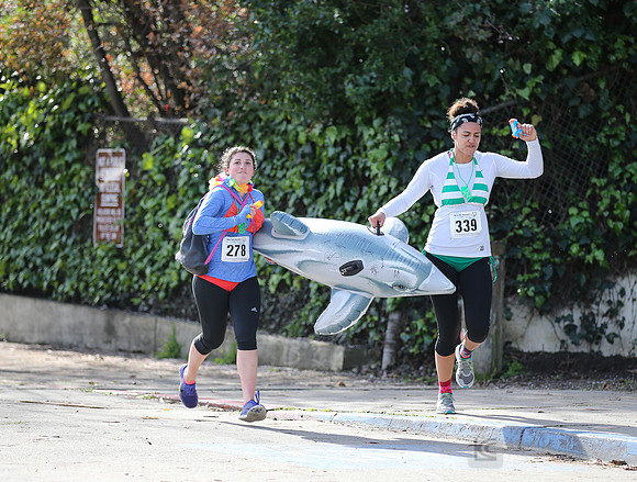 SONC Polar Plunge
