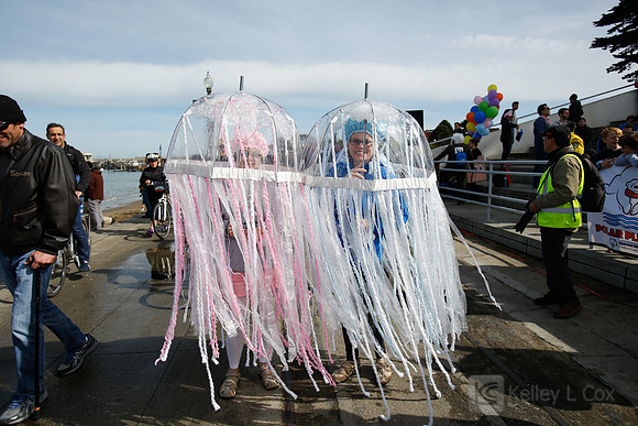 SONC Polar Plunge