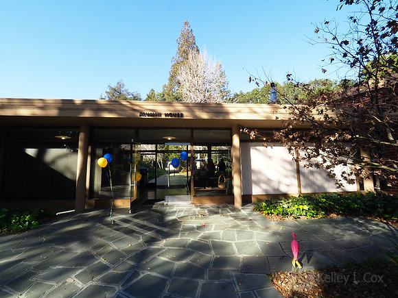 California Alumni Association: Family Friendly Hoops Party