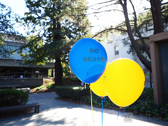 California Alumni Association: Family Friendly Hoops Party