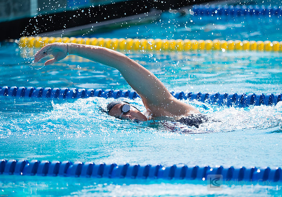 CSUEB Swim