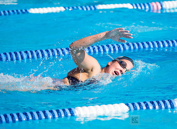 CSUEB Swim